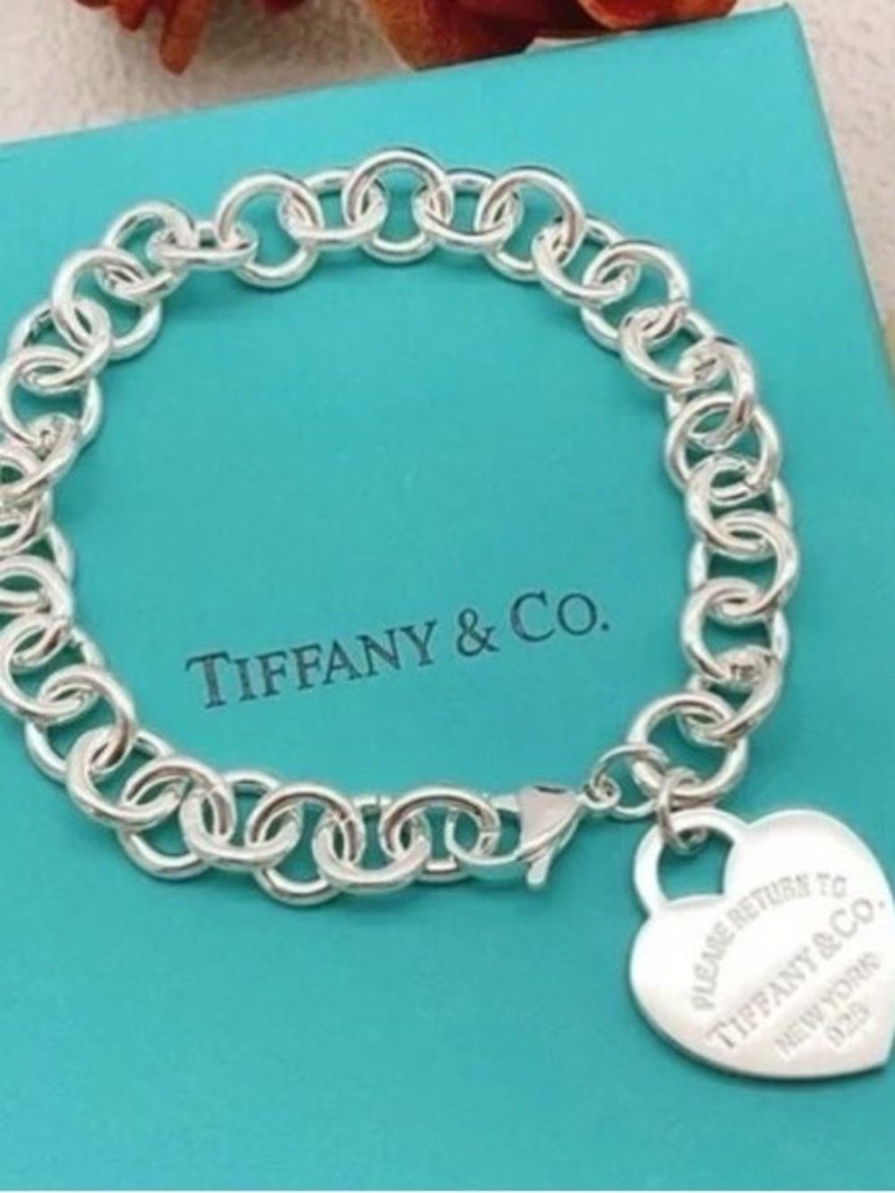 Tiffany & Co. Silver Heart Tag Link Bracelet on Tiffany Blue